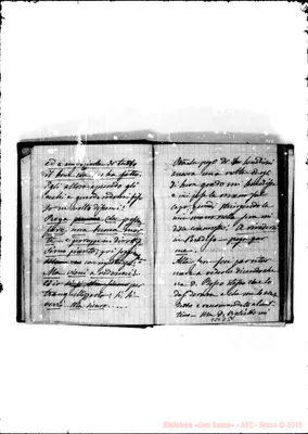 Fotogramma D 5