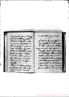 Fotogramma D 6