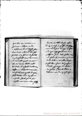 Fotogramma D 7