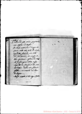 Fotogramma D 9