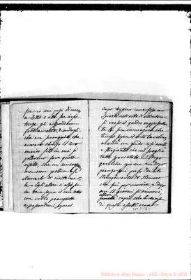 Fotogramma D 12