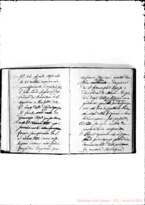 Fotogramma E 11