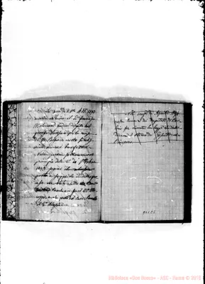 Fotogramma C 5