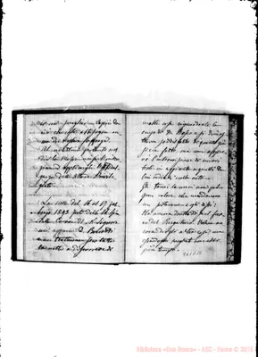 Fotogramma C 10