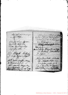 Fotogramma D 1