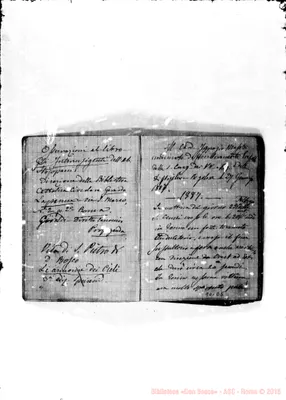Fotogramma D 5