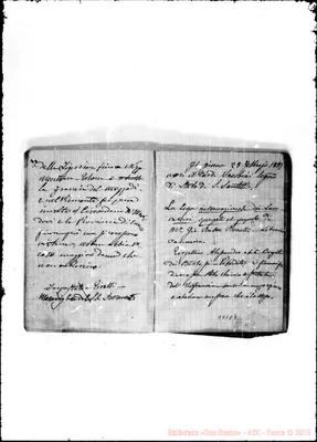 Fotogramma D 7