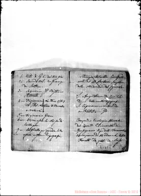 Fotogramma D 8