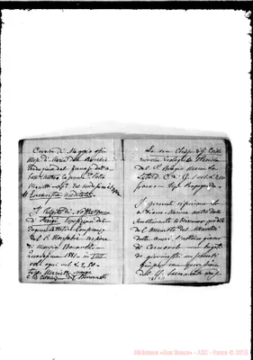 Fotogramma D 11