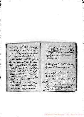 Fotogramma D 12