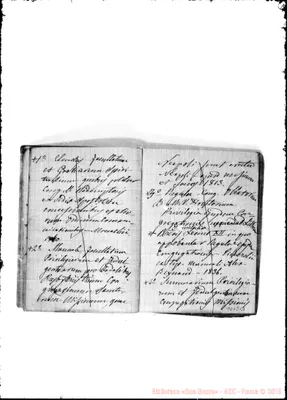 Fotogramma E 11
