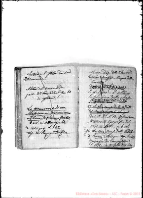 Fotogramma C 1