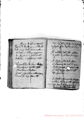Fotogramma C 3
