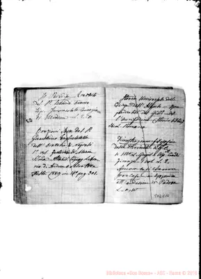 Fotogramma C 10