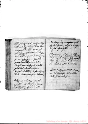 Fotogramma C 11