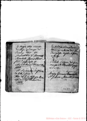 Fotogramma D 4