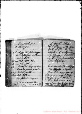 Fotogramma D 5