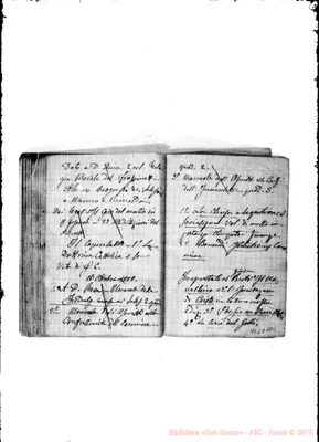 Fotogramma D 10