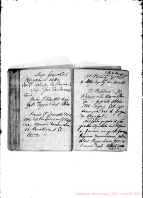 Fotogramma D 11