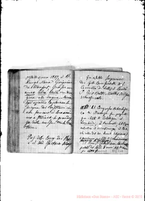 Fotogramma D 12