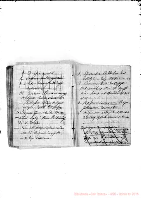 Fotogramma A 11