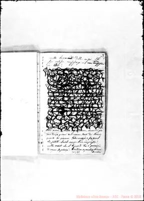 Fotogramma B 8