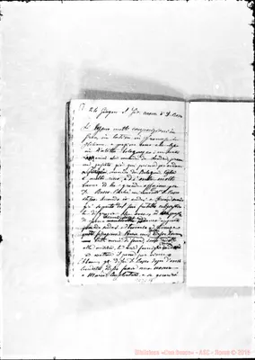 Fotogramma C 11