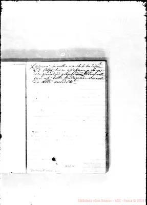 Fotogramma D 11