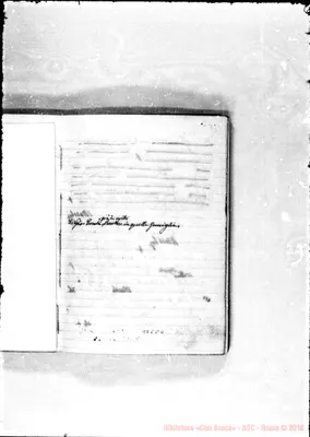 Fotogramma D 4
