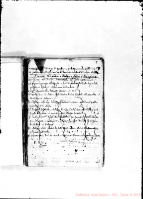 Fotogramma D 11