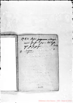 Fotogramma B 4
