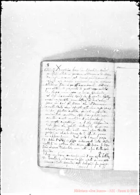 Fotogramma C 1