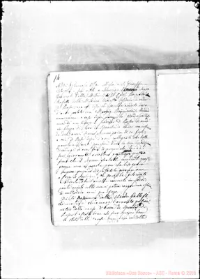 Fotogramma C 7