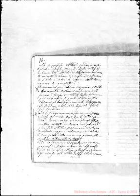 Fotogramma C 10