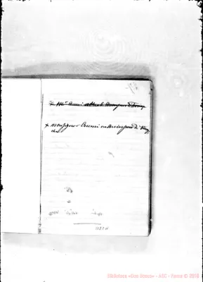 Fotogramma D 11