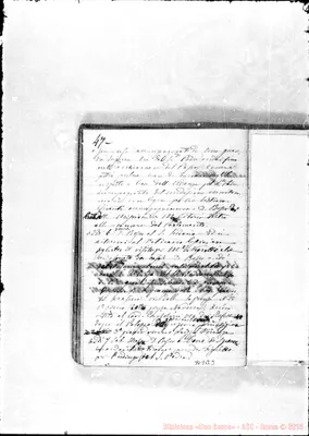 Fotogramma B 3