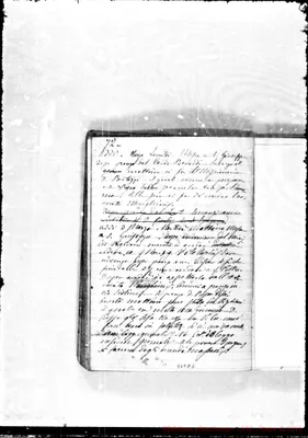Fotogramma D 5