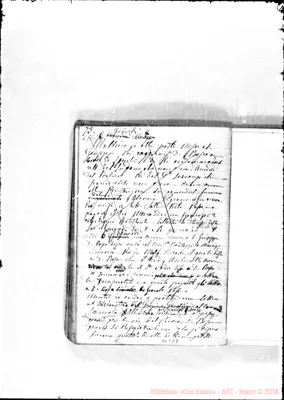 Fotogramma D 7