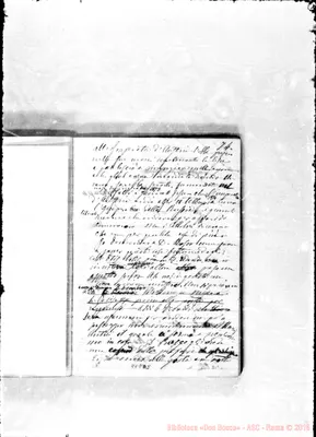 Fotogramma D 8