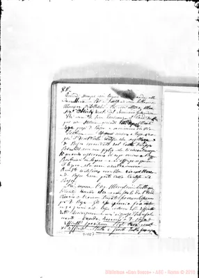 Fotogramma E 7