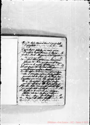 Fotogramma C 6