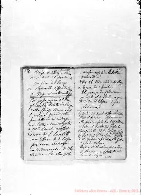 Fotogramma E 8