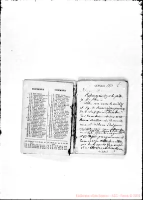 Fotogramma A 11