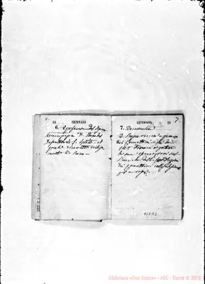 Fotogramma B 2