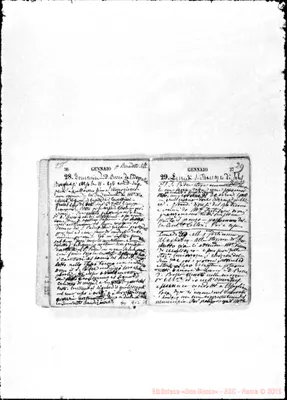 Fotogramma C 1