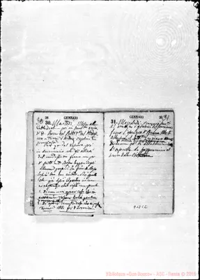 Fotogramma C 2