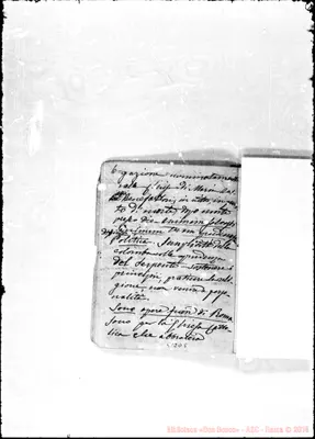 Fotogramma D 5