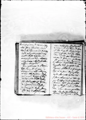 Fotogramma C 11