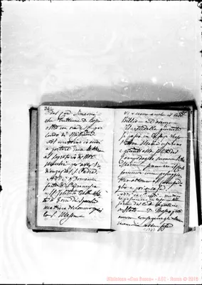 Fotogramma D 7