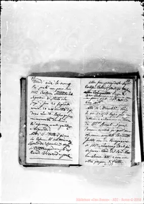 Fotogramma D 8